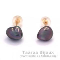 Brincos em Ouro 18K e 2 Keishis do Tahiti