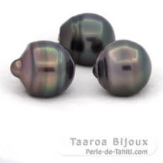 Lote de 3 Prolas do Tahiti Aneladas C de 12 a 12.4 mm