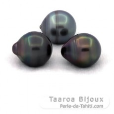 Lote de 3 Prolas do Tahiti Aneladas C de 12 a 12.4 mm