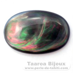 Forma de retngulo em Madreprola do Tahiti - 30 x 20 x 4 mm