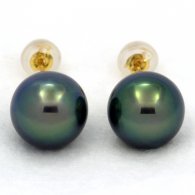 Brincos em Ouro 18K e 2 Prolas do Tahiti Redonda C+ 9.9 mm