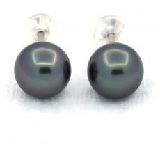 Brincos em Ouro branco 14K e 2 Prolas do Tahiti Redonda B/C 8.2 mm