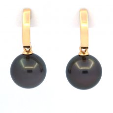 Brincos em Ouro 18K e 2 Prolas do Tahiti Redondas B 9.5 mm