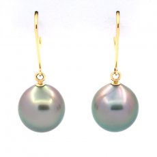 Brincos em Ouro 14K e 2 Prolas do Tahiti Semi-Barrocas B 9.5 mm