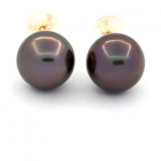 Brincos em Ouro 18K e 2 Prolas do Tahiti Redondas C 9.4 mm