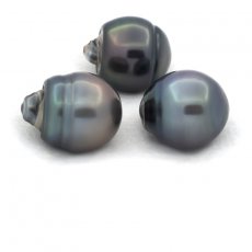 Lote de 3 Prolas do Tahiti Aneladas C de 12.6 a 12.7 mm