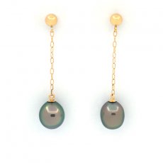 Brincos em Ouro 18K e 2 Keishis do Tahiti
