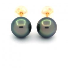 Brincos em Ouro 18K e 2 Prolas do Tahiti Redondas B/C 8.1 mm