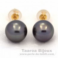 Brincos em Ouro 18K e 2 Prolas do Tahiti Redonda B 8.2 mm