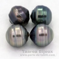 Lote de 4 Prolas do Tahiti Aneladas C de 9.5 a 9.8 mm