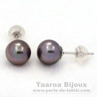Brincos em Ouro branco 18K e 2 Prolas do Tahiti Redonda B 8 mm