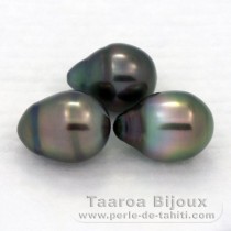 Lote de 3 Prolas do Tahiti Aneladas B de 9.6 a 9.8 mm