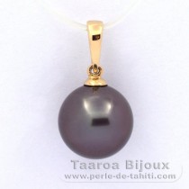 Pingente em Ouro 18K e 1 Prola do Tahiti Redonda B 11 mm