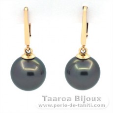 Brincos em Ouro 14K e 2 Prolas do Tahiti Redondas B 9.9 mm
