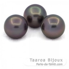 Lote de 3 Prolas do Tahiti Semi-Redondas C de 12.6 a 12.8 mm