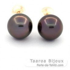 Brincos em Ouro 18K e 2 Prolas do Tahiti Redondas C 9.4 mm