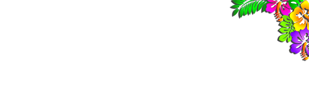 Buqu de hibisco