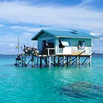 Cabana de enxerto